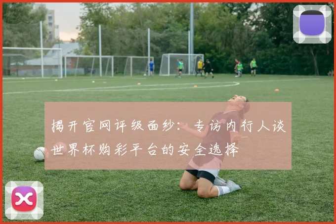 揭开官网评级面纱:专访内行人谈世界杯购彩平台的安全选择