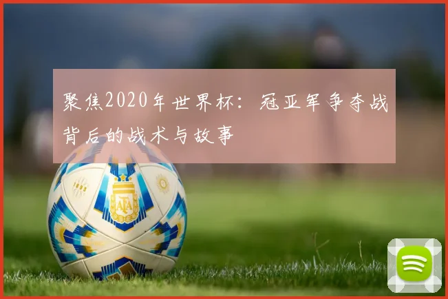 聚焦2020年世界杯：冠亚军争夺战背后的战术与故事