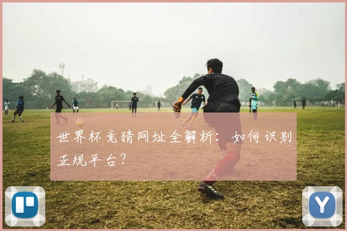 世界杯竞猜网址全解析:如何识别正规平台?
