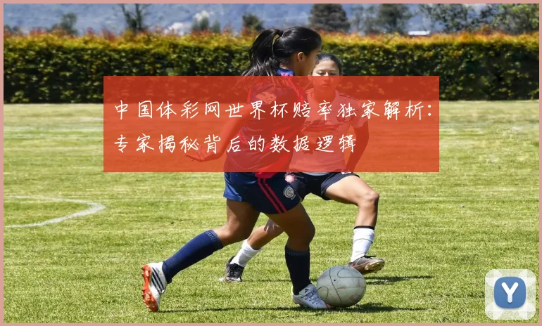 中国体彩网世界杯赔率独家解析：专家揭秘背后的数据逻辑