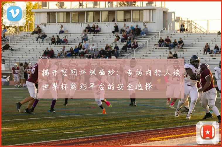 揭开官网评级面纱:专访内行人谈世界杯购彩平台的安全选择