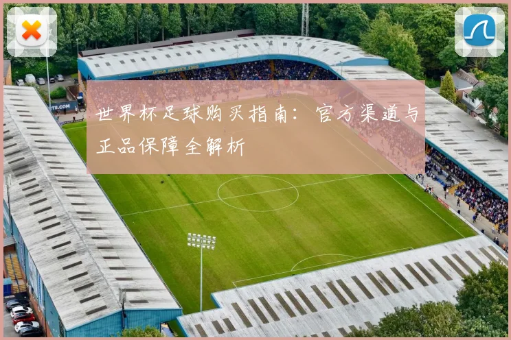 世界杯足球购买指南:官方渠道与正品保障全解析